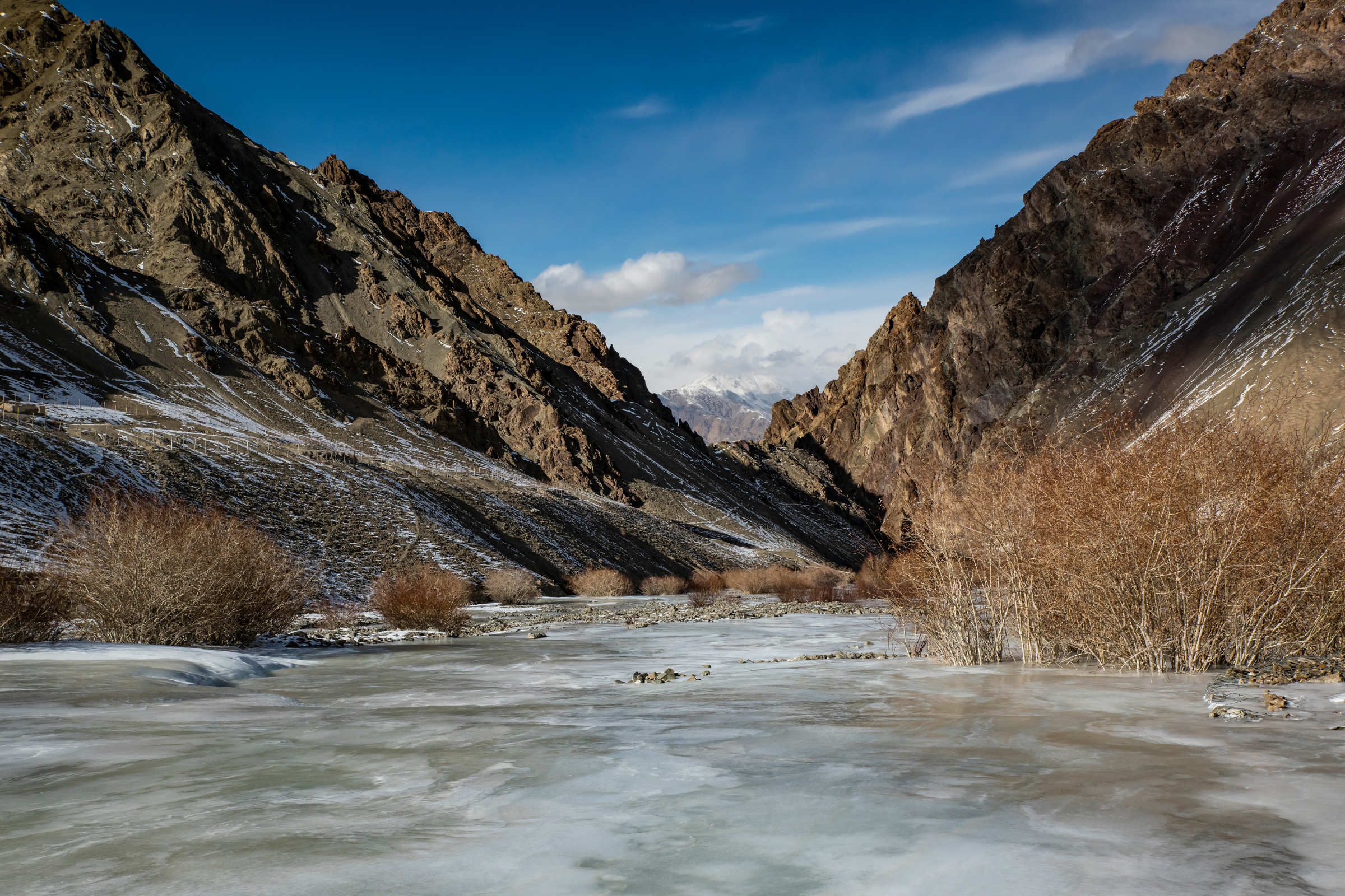 Hemis_National_Park[1].webp